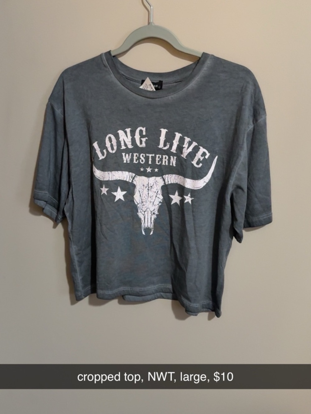 Long Live Western Grey Graphic Crop Top